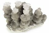 Cave Calcite Flower Stalactites - China #226185-1